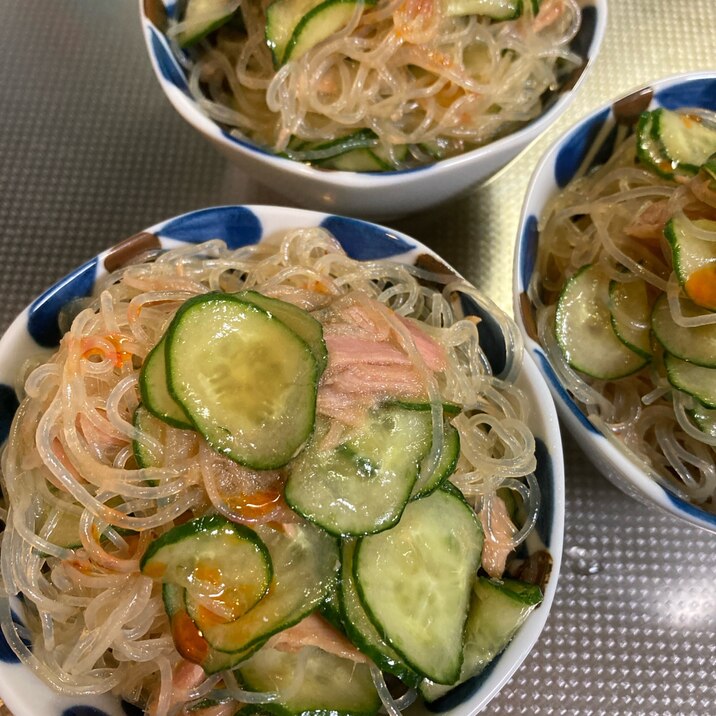 おつまみに♪簡単♡ツナと胡瓜の春雨サラダ